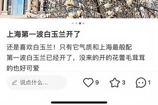开云app全站官网入口下载安卓
